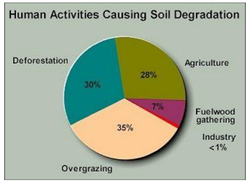 Causes Soil Erosion