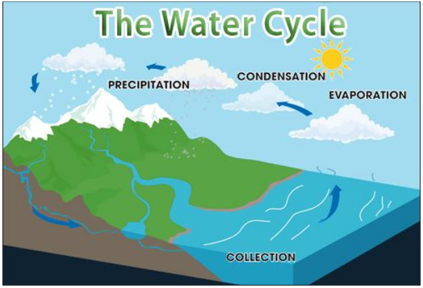 Water Cycle