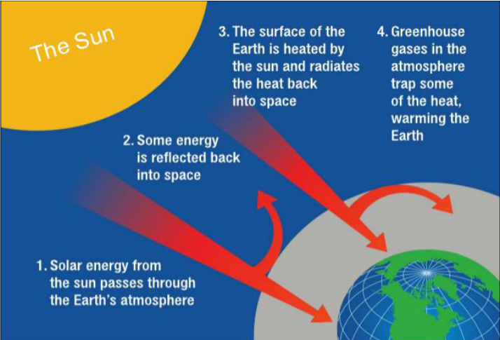 Greenhouse Effect on Earth