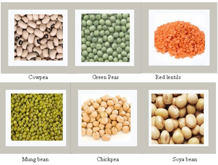 Different types of Crops