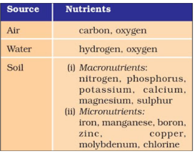 Nutrients provided by air, water and soil