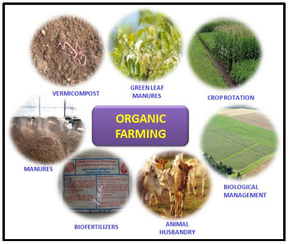 Elements of Organic Farming