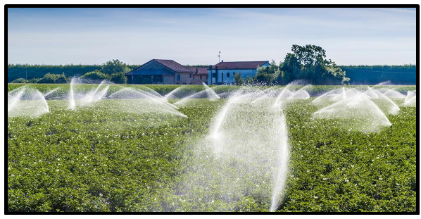 Irrigation of fields