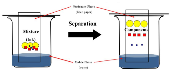 Chromatography