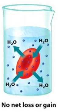 Isotonic Solution