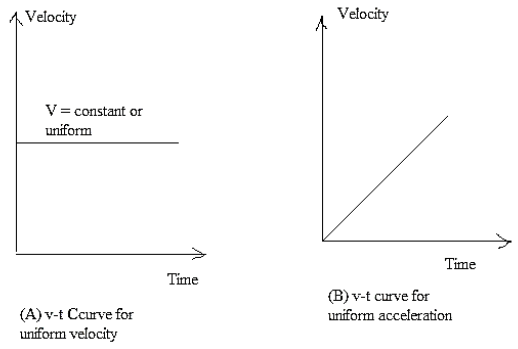 Velocity Graph