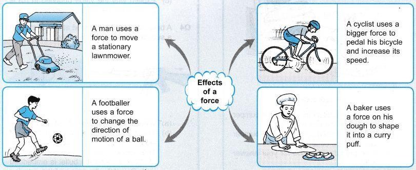 Effects of Force