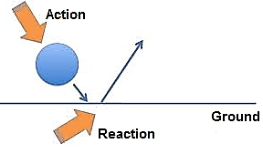 https://files.askiitians.com/cdn/images/20181026-163853986-5628-action-and-reaction-forces.png