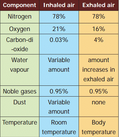 class6air4.PNG