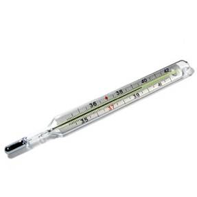 CLINICALthermometer-500x500.jpg