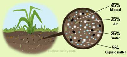 Figure 4 Air particles present in soil